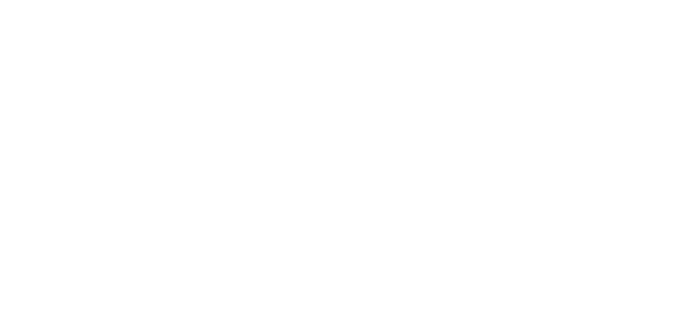 Silema Food Service Professional